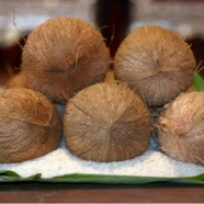 Coconut Oil
