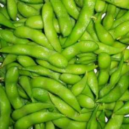 Soy – Yes or No?