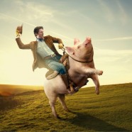 Swine Flu