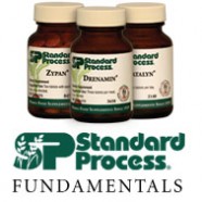 Why Standard Process Labs Supplements?